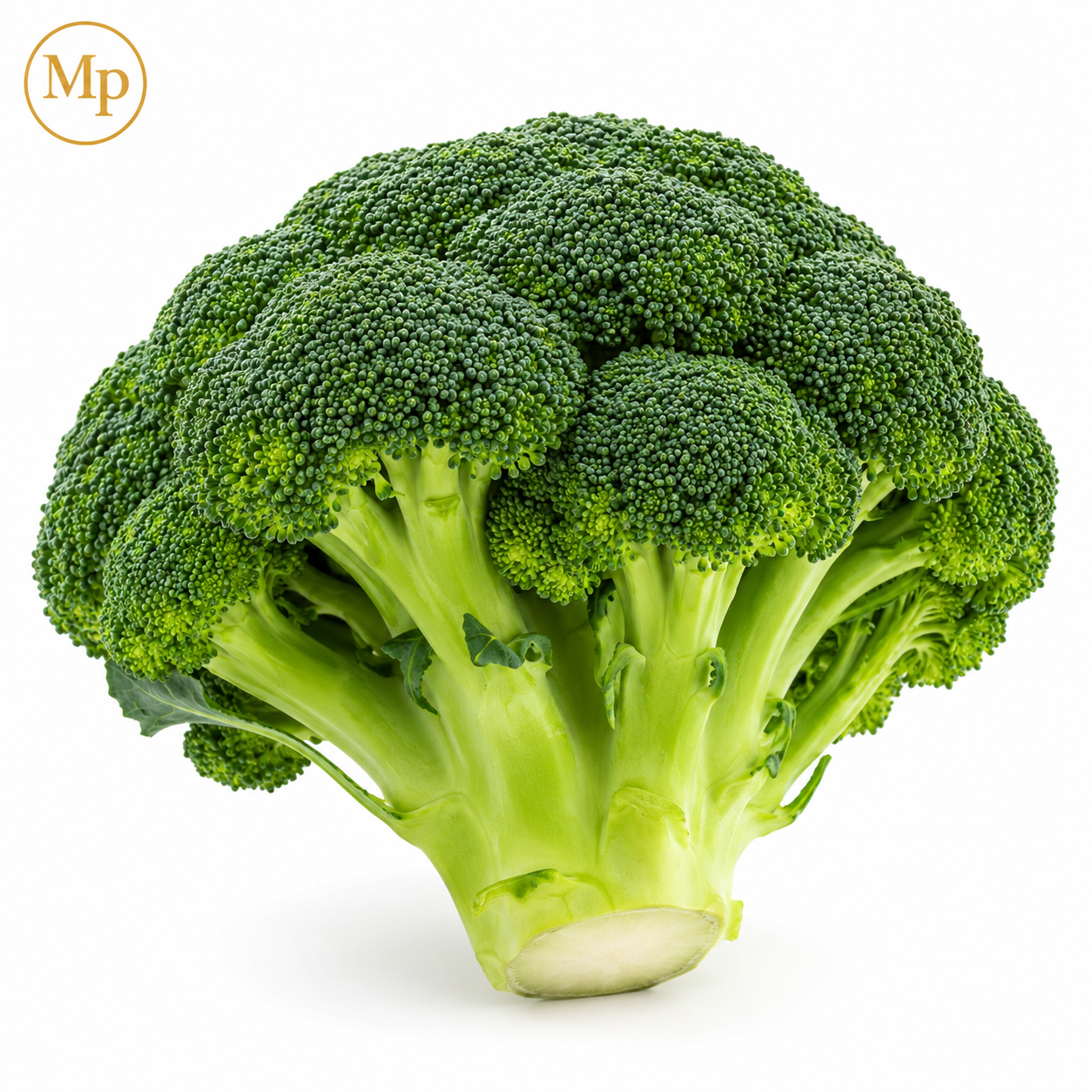 Broccoli Crown (1-lb)