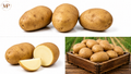 BakingPotatoes (1-lb)