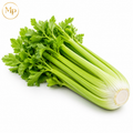 Celery (Each)