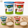 Desi Home Style Indian Yogurt (32-OZ)