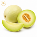Honeydew (1-ib)