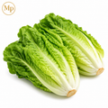 Organic Romaine (each)