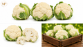 Organic Caulifower (1-lb)