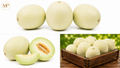 Honeydew (1-lb)