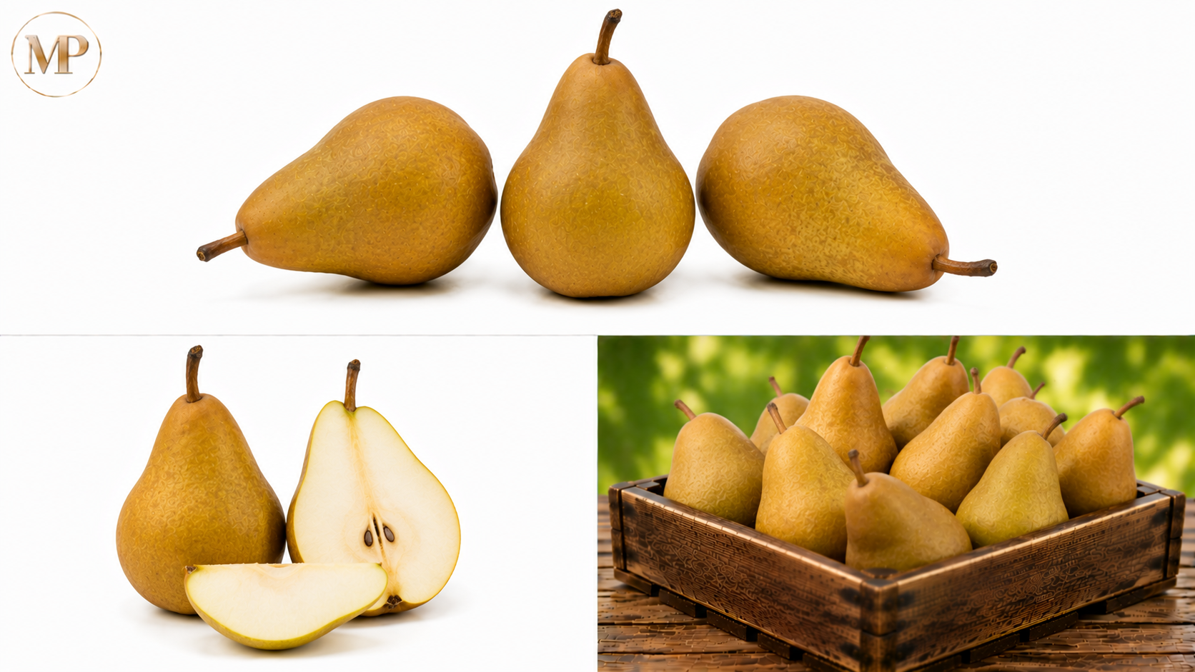 Bosc Pears (1-lb)