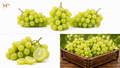Organic Green Grapes (1-lb)