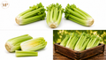 Organic Celery Hearts (1-lb)