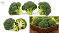 Broccoli Crowns (1-lb)