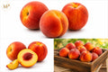 peaches (1-lb)
