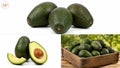 large avocados (1-lb)
