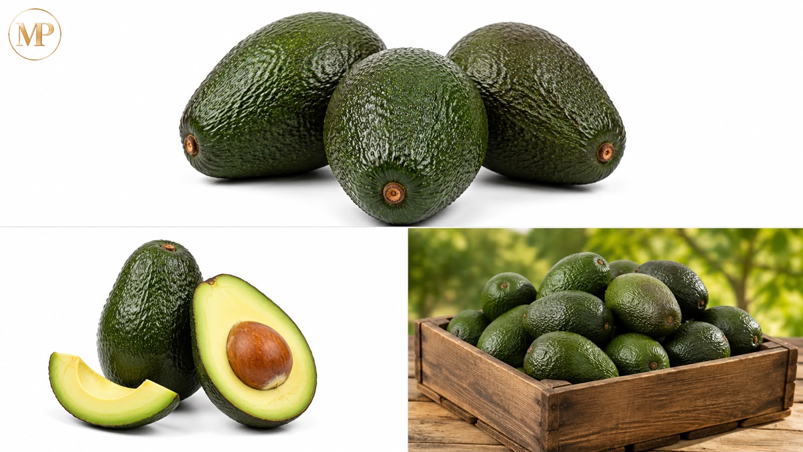 large avocados (1-lb)