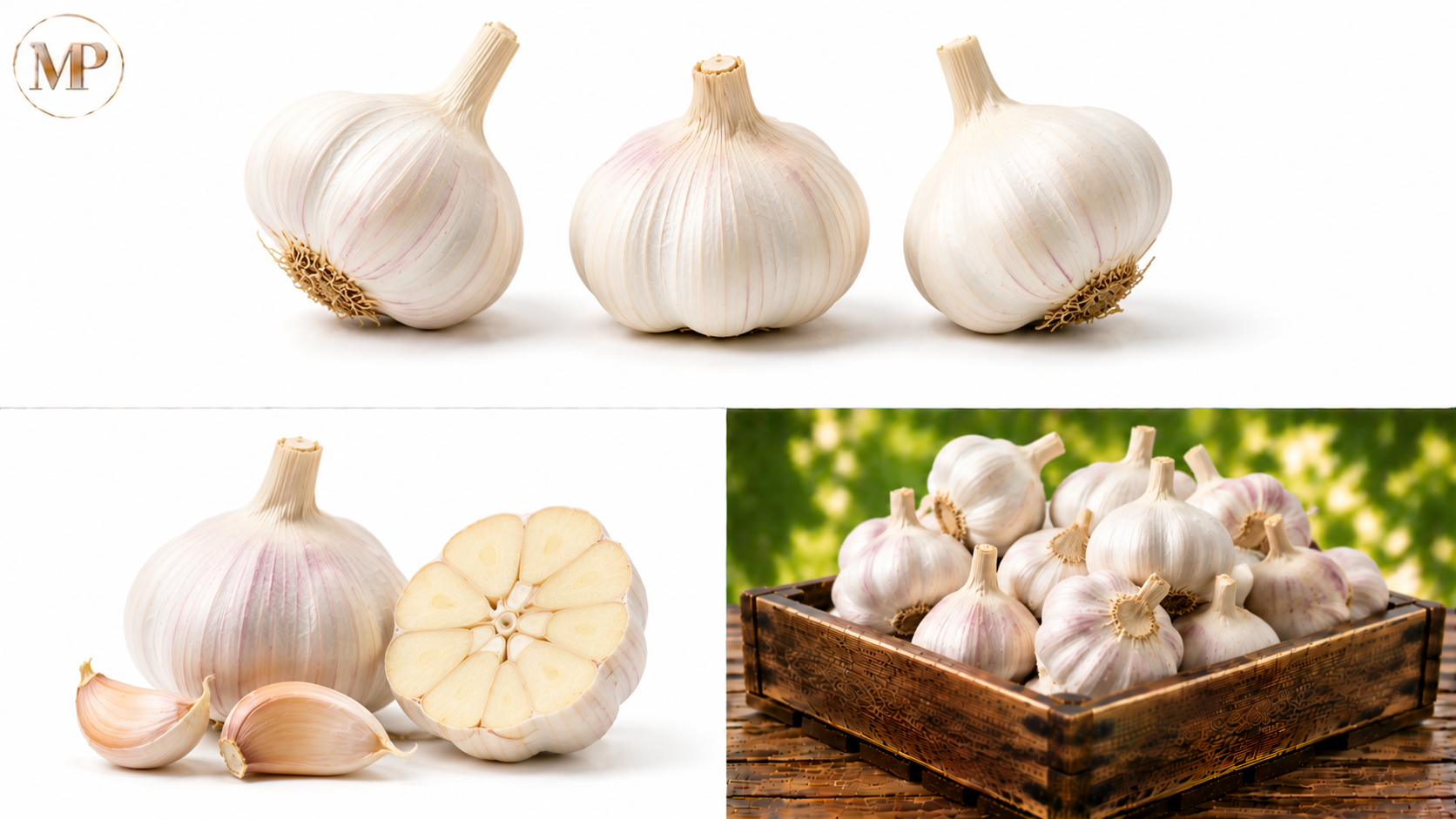 Garlic (1-lb)
