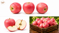 Washington Pink Lady Apples (1-lb)