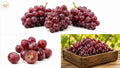 organic red grapes (1-lb)