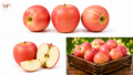 Washington Fuji Apples (1-lb)
