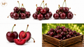 Large Washington Cherries (1-lb)