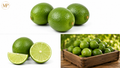 limes (1-lb)