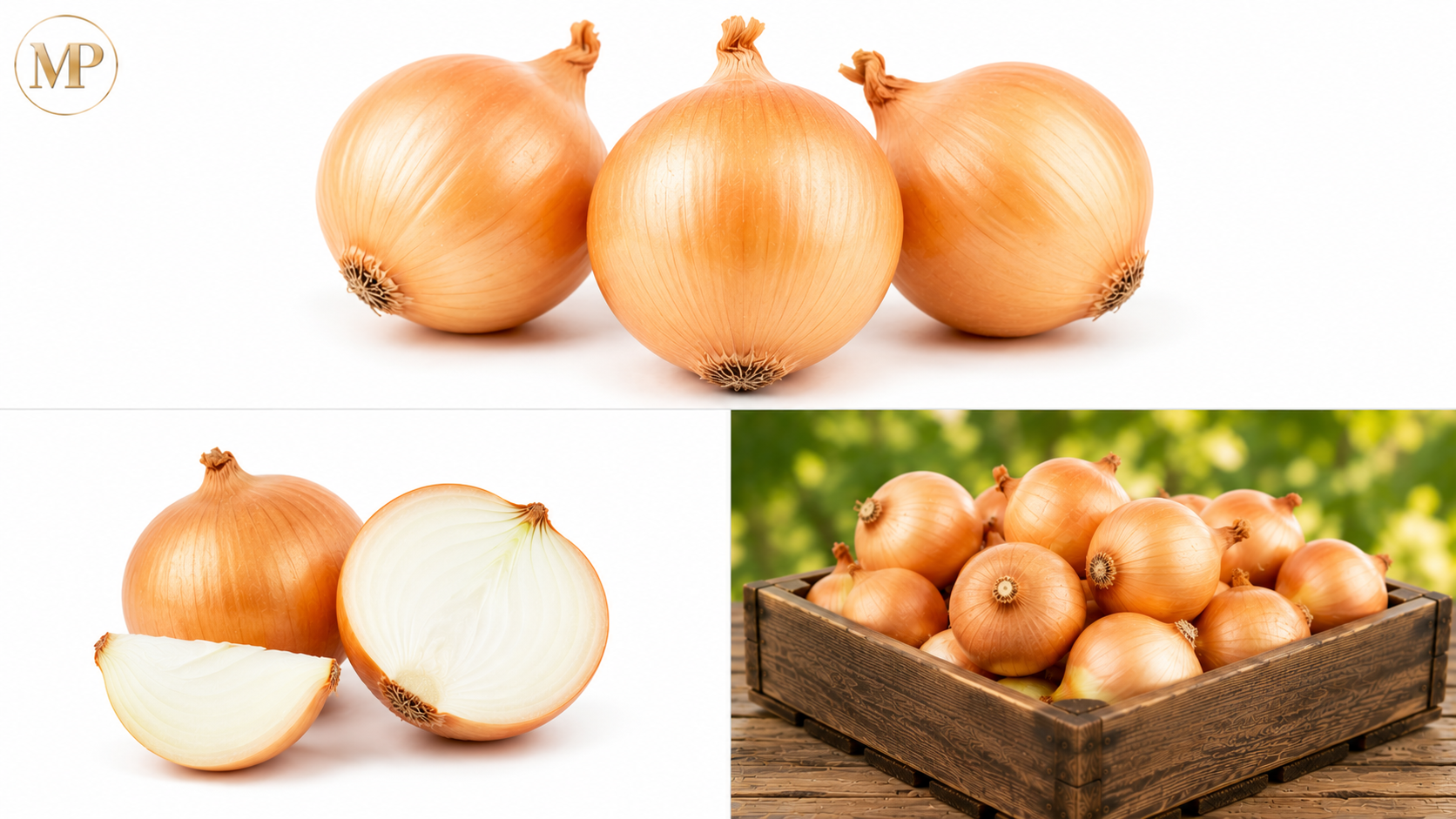 Yellow Onions (1-lb)