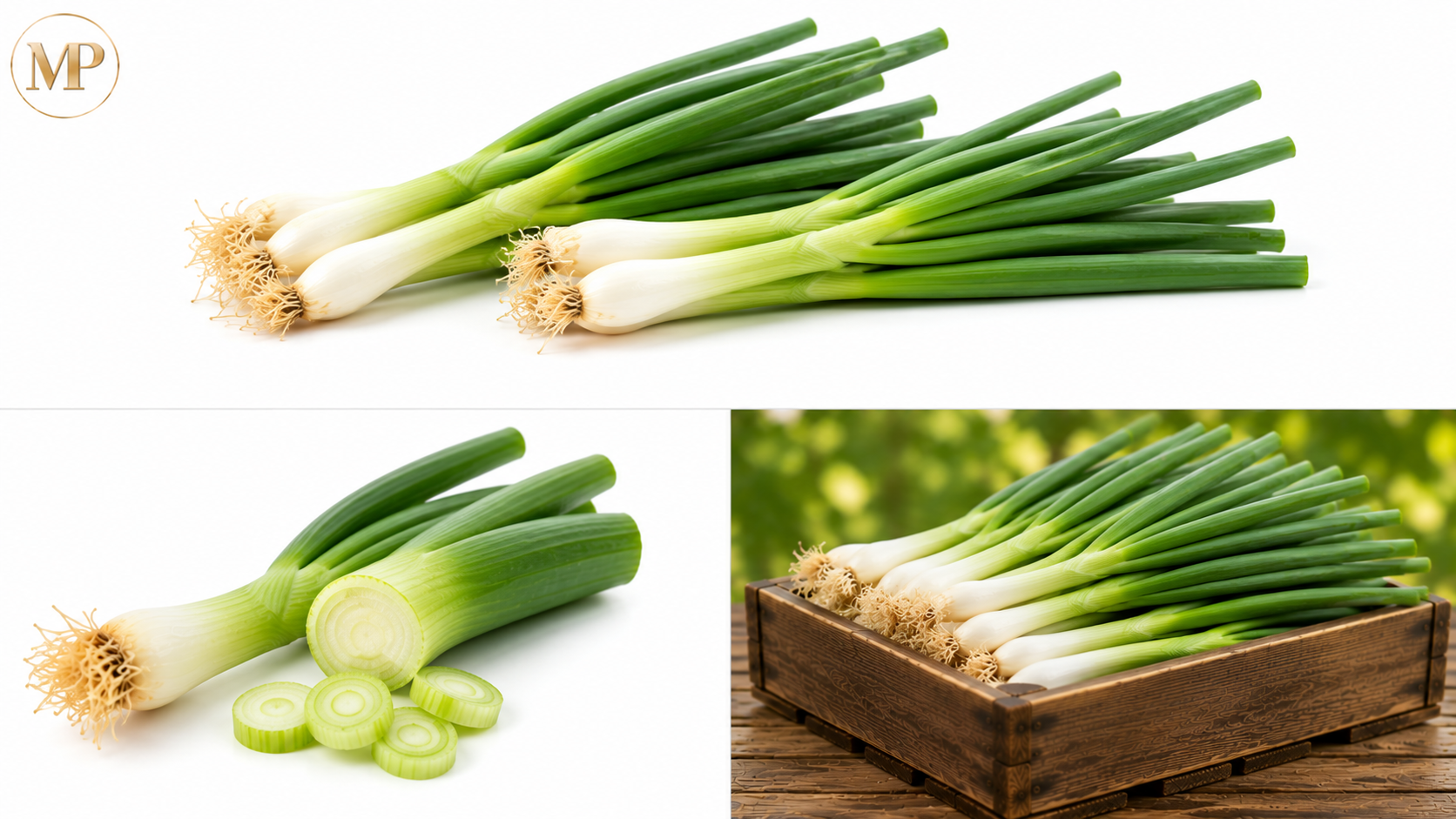 Green Onions (1-lb)