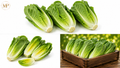 Romaine Hearts (1-lb)