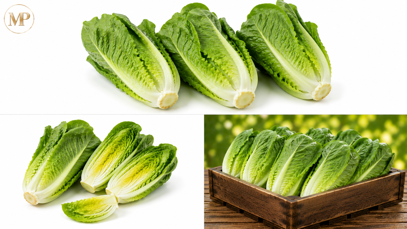 Romaine Hearts (1-lb)