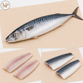 Mackerel Fresh Wild Norway (1-lb)
