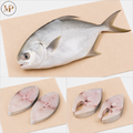 Pompano Fish (1-lb)