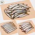 Lake Smelts (1-lb)