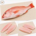 Ocean Perch Fillets (1-lb)