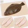 Halibut Fish Wild USA (1-lb)