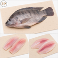 Fresh Tilapia (1-lb)