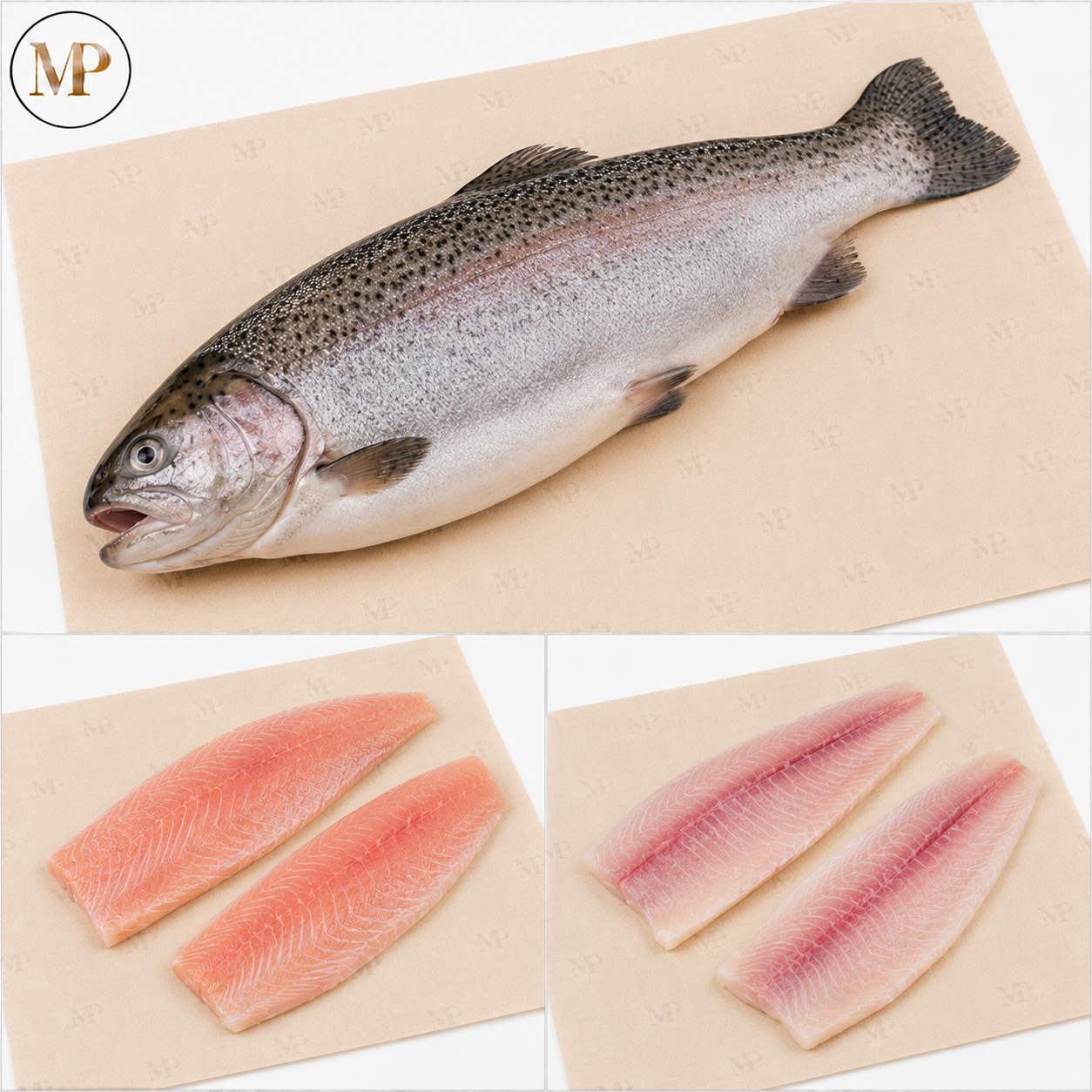 Rainbow Trout (1-lb)