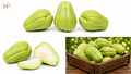 litasquash (1-lb)